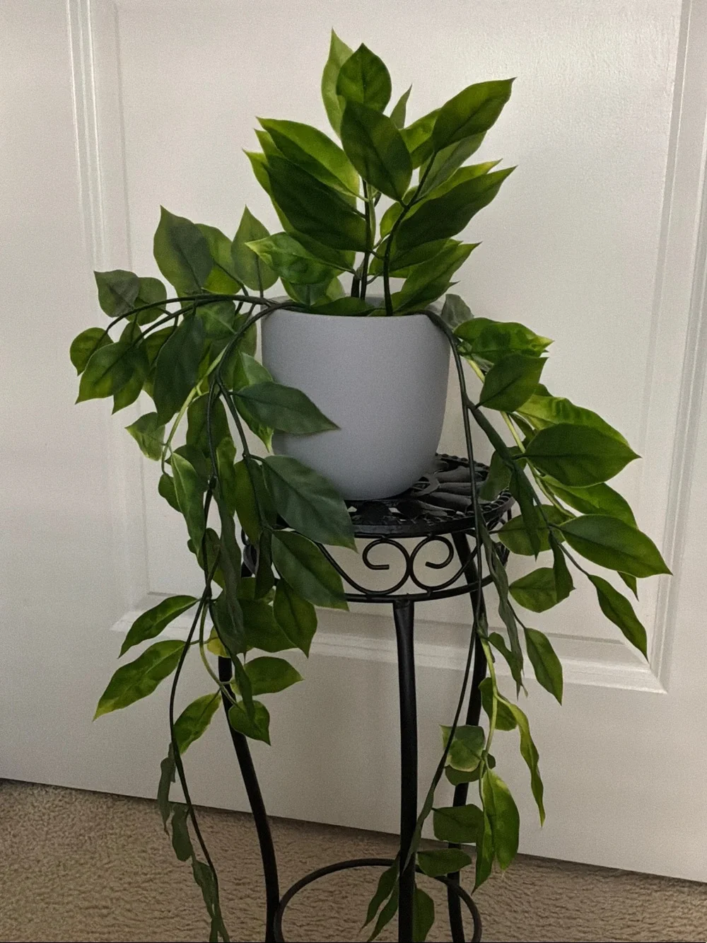 Green Artificial Hanging Pothos in White Planter by